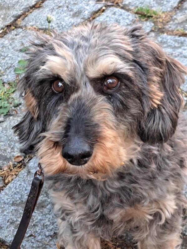 Maxi-22-Seib-2026.jpg - (Photo by Roland Seib 2026)