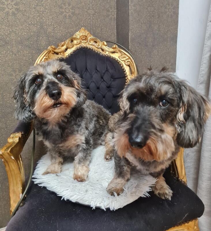 Maxi_Dörrie_2026.jpg - Maxi and her friend Arthur (Photo by Diana Dörrie 2026, La Chic)