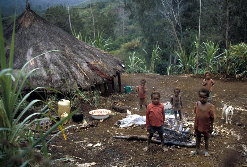 PNG3-05-Seib-1987.jpg - Rural poverty in remote Eastern Highlands 1987 (Photo by Roland Seib)