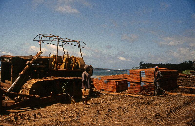 PNG6-018-Seib-1997.jpg - Legacy of large scale logging, Siassi Island (Photo by Roland Seib)