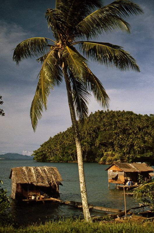 PNG6-095-Seib-1987.jpg - Village, Baluan Island (Photo by Roland Seib)